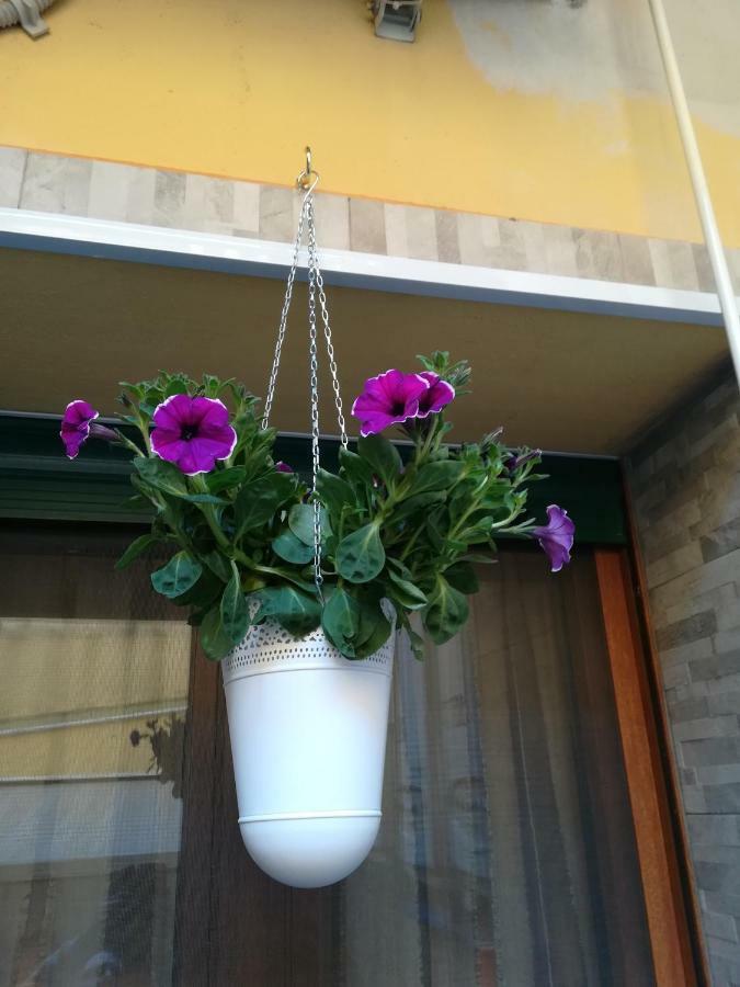 I Nuraghi Ii Apartment *